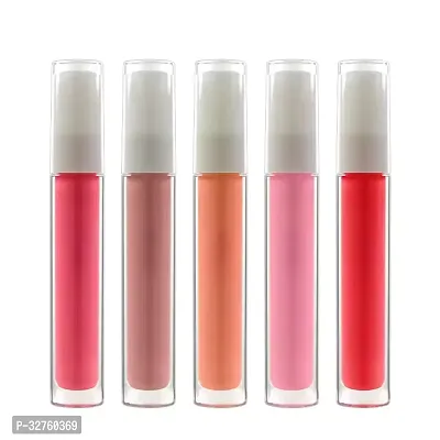 Nude Brown Lip gloss Vendors Cosmetics  Vegan Lipgloss