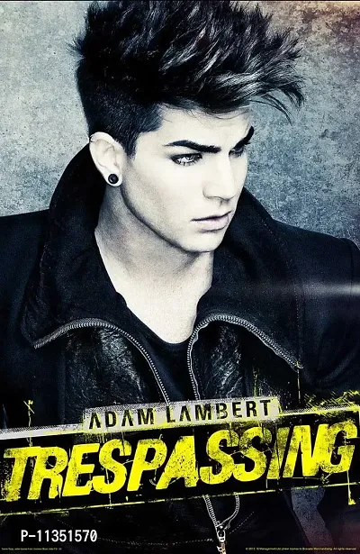 Bravado Adam Lambert Tresspassing 12 X 18 inches Small Poster