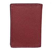 Style Shoes Brown Smart and Stylish Leather Card Holder-thumb3