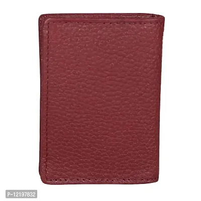 Style Shoes Brown Smart and Stylish Leather Card Holder-thumb4