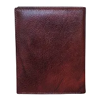 Style Shoes Brown Smart and Stylish Leather Passport Holder-thumb4