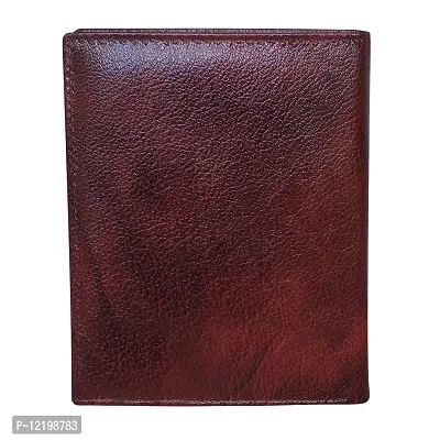 Style Shoes Brown Smart and Stylish Leather Passport Holder-thumb5