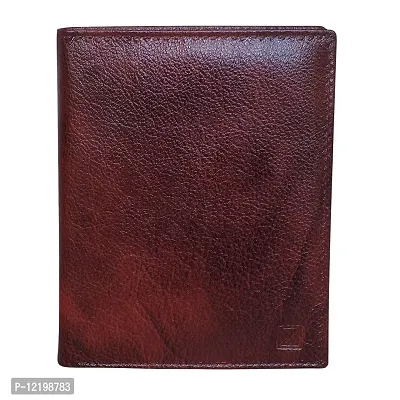 Style Shoes Brown Smart and Stylish Leather Passport Holder