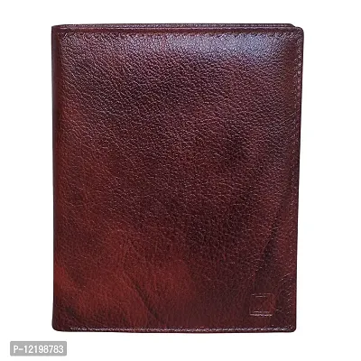 Style Shoes Brown Smart and Stylish Leather Passport Holder-thumb0