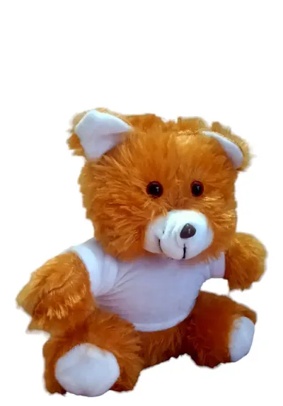 Stylish Teddy Bear For Kids