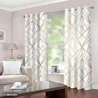 Beautiful Printed Window Curtain