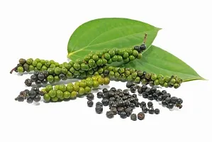 Natural Black Pepper Plant-thumb2