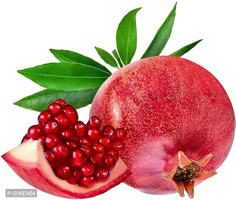 Natural Pomegranate Plant-thumb0