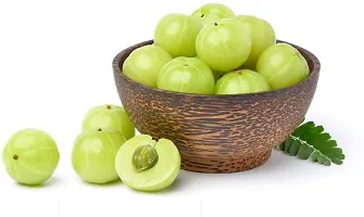 Natural Amla Plant-thumb1