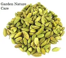 Natural Elaichi/Cardamom Plant-thumb3