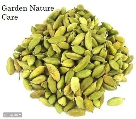 Natural Elaichi/Cardamom Plant-thumb4