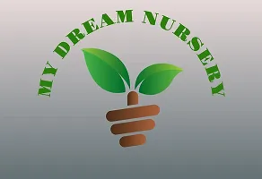 Natural Neem Plant-thumb3