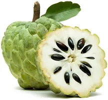 Natural Custard Apple Plant-thumb1