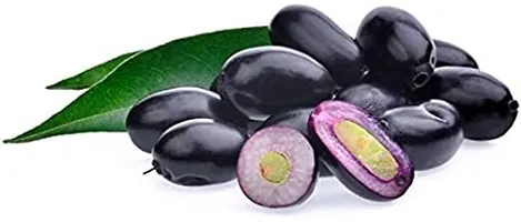 Natural Jamun Plant-thumb1