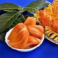 Natural Jackfruit Plant-thumb3