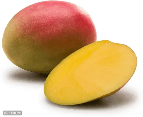 Natural Mango Plant-thumb0