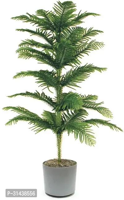 Natural Christmas Tree Plant-thumb0