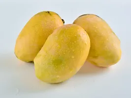 Natural Mango Plant-thumb1