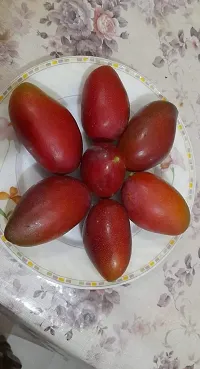 Natural Mango Plant-thumb1