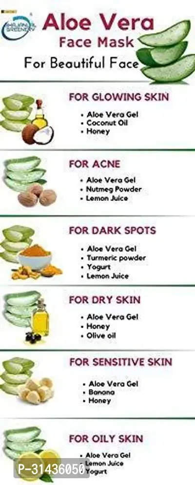 Natural Aloe Vera Plant-thumb4