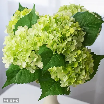 Natural Hydrangea Plant-thumb0