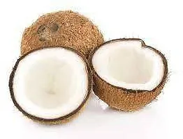 Natural Coconut Plant-thumb2