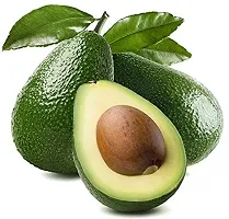 Natural Avocado Plant-thumb1