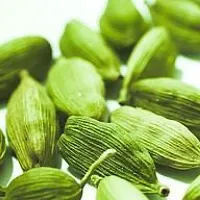 Natural Elaichi/Cardamom Plant-thumb4