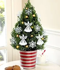 Natural Christmas Tree Plant-thumb1