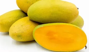 Natural Mango Plant-thumb3