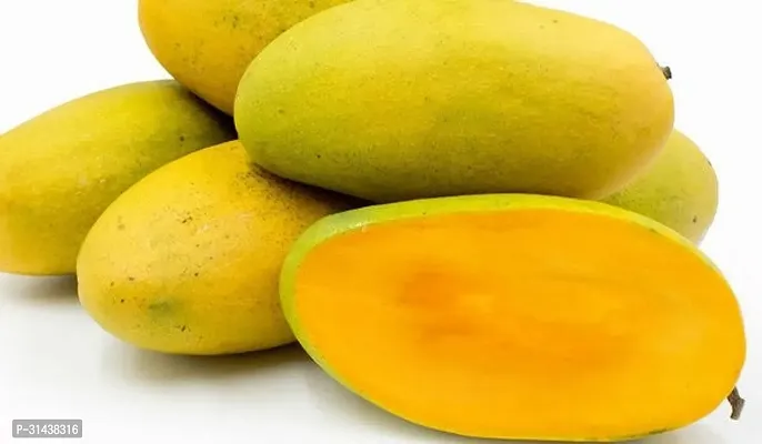 Natural Mango Plant-thumb4