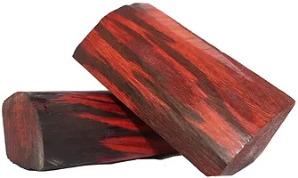 Natural Red Sandalwood Plant-thumb1