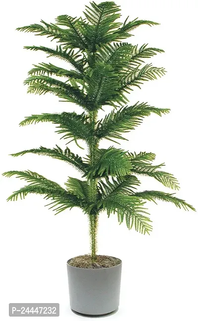 Natural Christmas Tree Plant