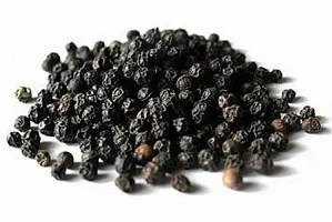 Natural Black Pepper Plant-thumb3