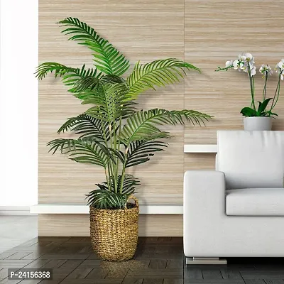 Areca Palm