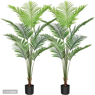 Natural Areca Palm Plant-thumb0