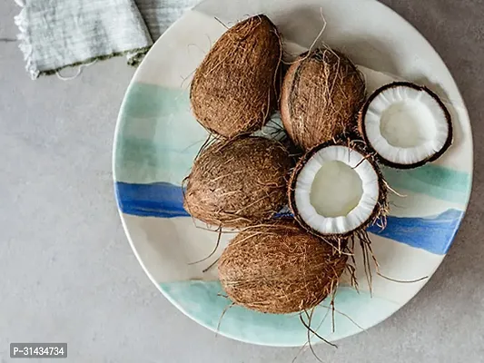 Natural Coconut Plant-thumb2