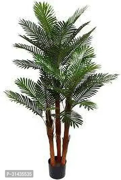 Natural Areca Palm Plant-thumb0