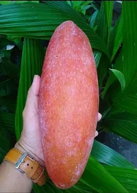 Natural Mango Plant-thumb3