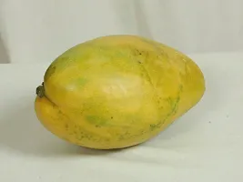 Natural Mango Plant-thumb1