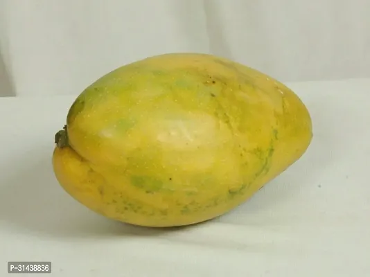 Natural Mango Plant-thumb2