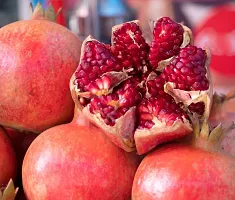 Natural Pomegranate Plant-thumb1