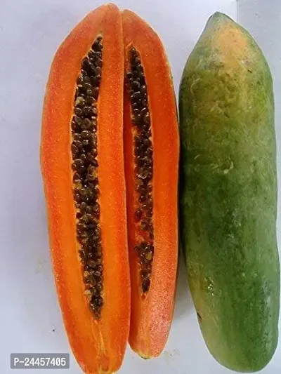 Natural Papaya Plant