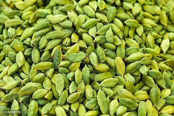 Elaichi/Cardamom Plant-thumb0