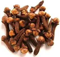 Natural Clove Plant-thumb2