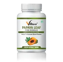 VLTAVA Papaya Leaf Extract Capsule - Helpful for Blood Platelets Count, With Goodness   of Vitamin C, Anti-inflammatory  Antioxidant Properties (Pack of 1 )-thumb1