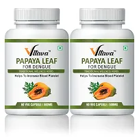 VLTAVA Papaya Leaf Extract Powerful Anti-oxidants (500 mg, 60 Capsules)- Pack of 2-thumb1