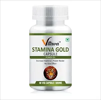 VLTAVA Stamina Gold Capsule | Strength  Stamina | Power  Performance |-thumb2
