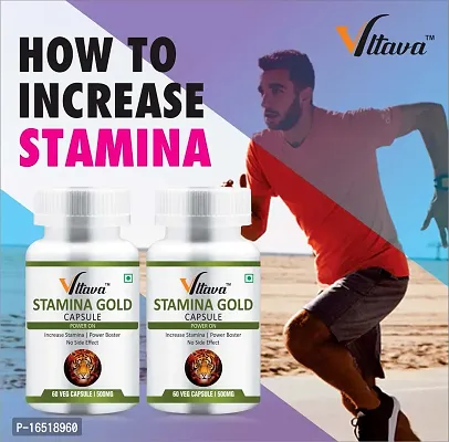 VLTAVA Stamina Gold Capsules - Immunity  Increase Stamina|Energy Gainer| Man  Women   to Strong Stamina Power