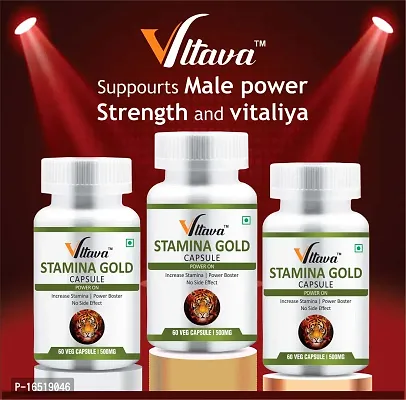 VLTAVA Stamina Gold Capsules - Energy Stamina  Power Capsule For Men  Women